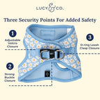 Lucy & Co. Simply Splendid Step-in Cat Harness & Leash Bundle – Reflective, Breathable & Adjustable Harness for Cats, Kittens & Small Dogs, Lightweight & Secure and Dual Leash Clips – Medium