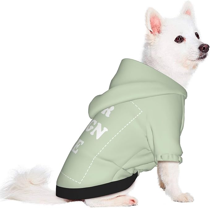 Personalized Chihuahua Dog Hoodie, Custom Pet Warm Sweatshirt Costume with Name Number Photo, Customize ID Clothes for Pupppy Kitten Dogs Cats, LightGreen, S