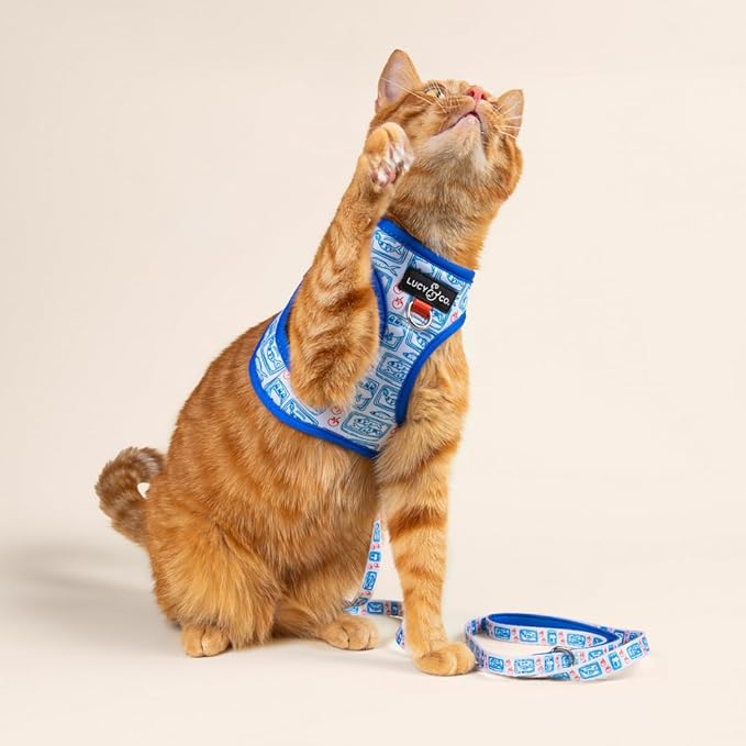 Lucy & Co. Tinned Fish Step-in Cat Harness & Leash Bundle – Reflective, Breathable & Adjustable Harness for Cats, Kittens & Small Dogs, Lightweight & Secure and Dual Leash Clips – Large