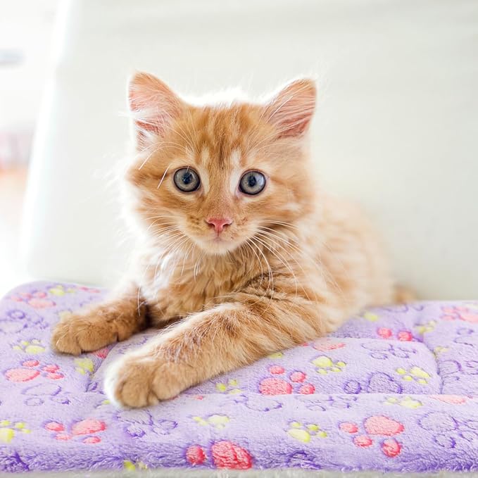 2 Pack Cat Blanket for Indoor Cat, Warm Calming Kitten & Puppy Beds for Anxiety and Stress, Washable Small Dog Mat for Crate, Fuzzy Pet Blankets