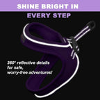 Cat Harness and Leash Set,Escape Proof Kitten Harness,Step in Adjustable Soft Lightweight,Easy Control,Reflective Strips Comfortable for Walking Travel(Purple,XS)