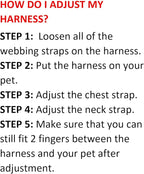 Best Pet Supplies Voyager Step-in Air All Weather Mesh Harness and Reflective Dog 5 ft Leash Combo with Neoprene Handle, for Small, Medium and Large Breed Puppies - Set (Royal Blue), S