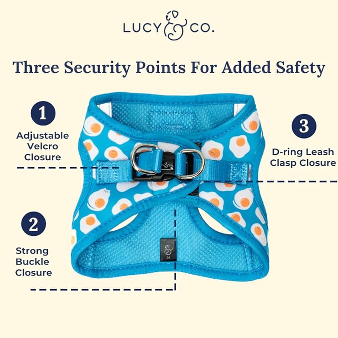 Lucy & Co. Eggcelent Step-in Cat Harness & Leash Bundle – Reflective, Breathable & Adjustable Harness for Cats, Kittens & Small Dogs, Lightweight & Secure and Dual Leash Clips – X-Small
