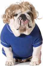 Funny Cosplay Wig for Dog, Headwear Apparel, Pet Costumes, Cat Dress up for Halloween, Christmas, Parties, Festivals (Curly Blonde Hair)