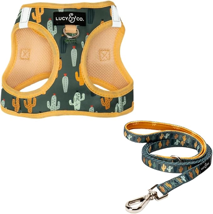 Lucy & Co. Looking Sharp Step-in Cat Harness & Leash Bundle – Reflective, Breathable & Adjustable Harness for Cats, Kittens & Small Dogs, Lightweight & Secure and Dual Leash Clips – Small