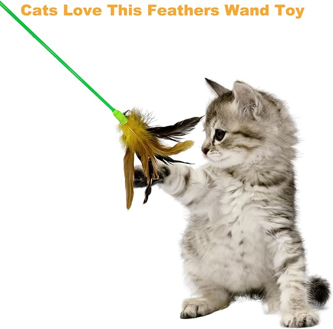 Interactive Cat Wand Feather Toys, 10 Pieces Feathers Stick Cat Toys for Indoor Cats Play