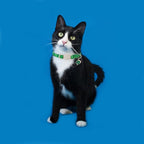 Cat Collar,2 Pack St.Patrick's Day Cat Collars Breakaway with Bell, DOGWONG Safety Buckle Cat Collar Green Trefoil Cat Collar for Girl Boy Cats，Adjustable 7-12 Inch