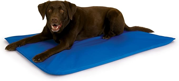 K&H Pet Products Cool Bed III Dog Cooling Mat, Indoor Outdoor Cooling Beds for Large Dogs, Chilling Pet Pad for in Home, Outdoor Houses, Crates, Yards, Porches - Large 44 X 32in Chill Blue