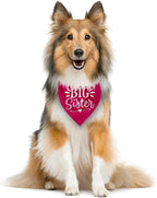 Big Sister Dog Bandana, Deep Pink Dogs Scarf Accessories, Pet Triangle Scarf, Pet Bandana for Large Dogs, Baby Announcement Dog Bandanas (L)
