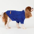 Fitwarm 3 Pack Classic Fleece Dog Sweater, Winter Clothes for Small Dogs Boy Girl, Turtleneck Dog Sweatshirt, Pet Apparel, Orange Red, Royal Blue, Neon Yellow, XS