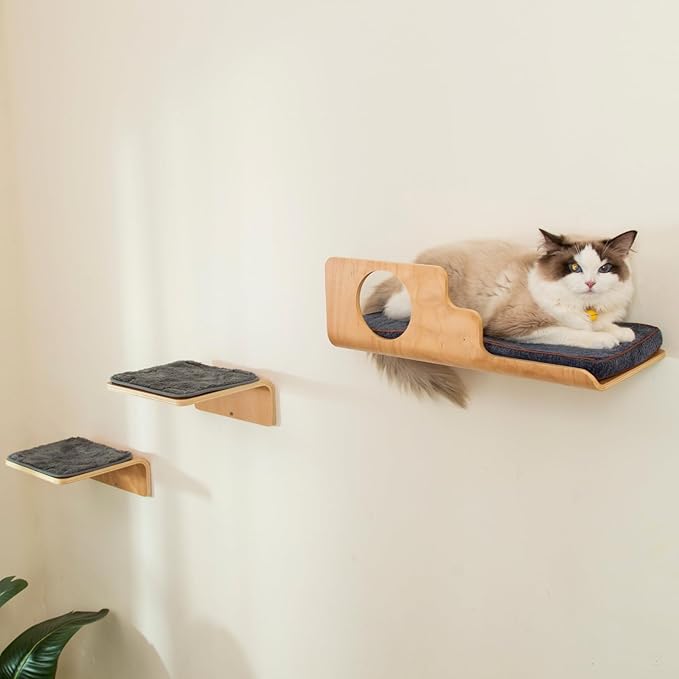 Cat Wall Shelves with 2 Steps, Creative Design Cat Shelf with Peephole, 19 x 10 inch Cats Wall Furniture with Comfortable Pad, Cats Perch for Sleeping, Playing, and Scratching.