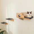 Cat Wall Shelves with 2 Steps, Creative Design Cat Shelf with Peephole, 19 x 10 inch Cats Wall Furniture with Comfortable Pad, Cats Perch for Sleeping, Playing, and Scratching.