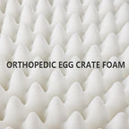 Patas Lague Orthopedic Jumbo Dog Bed for Large Sized Dog 56''X40'', Soft Waterproof Egg Crate Foam Large Pet Crate Beds Mat with Removable Washable Cover and Non-Slip Bottom, Purple