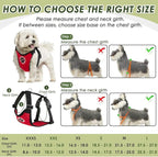 SlowTon Dog Seat Belt Harness for Car, Dog Car Harness Adjustable Mesh Breathable & Dog Seatbelt Safety Tether with Elastic Bungee for Small Medium Large Pets(Red, Double Clip, S)