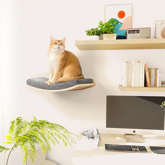 Curved Cat Shelves and Perches, Floating Cat Wall Bed with Comfortable Cushion