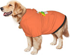 Personalized Pet Sweatshirt, Custom Dog Hooded with Pocket, Customize Hoodies for Dogs, Puppy, L, Chocolate