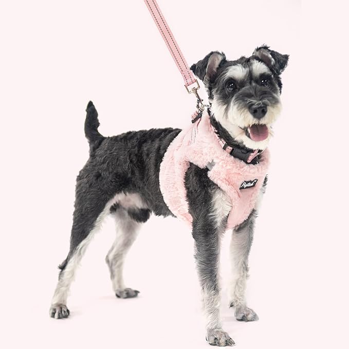 PUPTECK Adjustable Dog Harness Collar and Leash Set Step in No Pull Pet Harness for Small Medium Dogs Puppy and Cats Outdoor Walking Running, Soft Mesh Padded Reflective Vest Harnesses, Plush Pink M