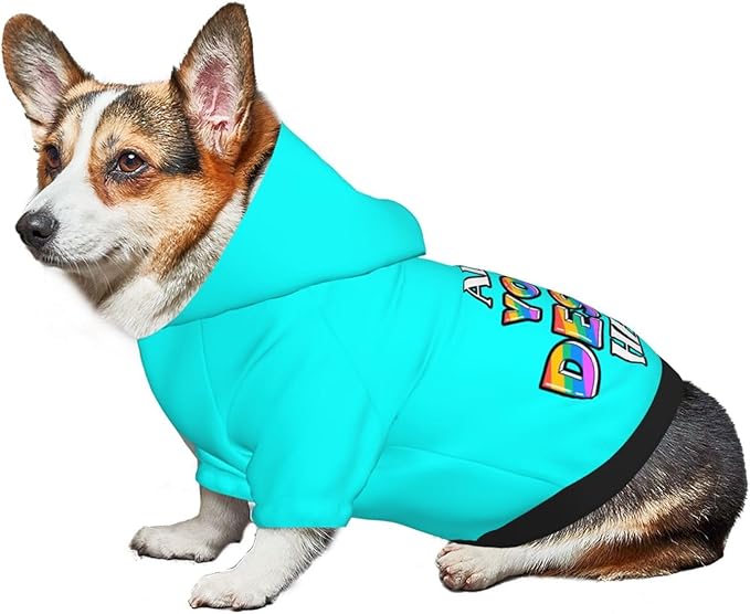 Custom Dog Hoodie for Small Pets, Personalized Photo Text Pet Warm Pullover Sweatshirt with Name Number, Customized Gifts Soft Hooded Cats Kitten Clothes, Cyan, M,