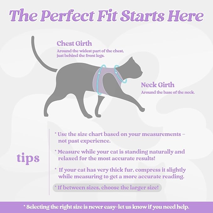 rabbitgoo Cat Harness and Leash Set for Walking Escape Proof, Adjustable Soft Kittens Vest with Reflective Strip for Cats, Comfortable Outdoor Vest, Light Purple, XL
