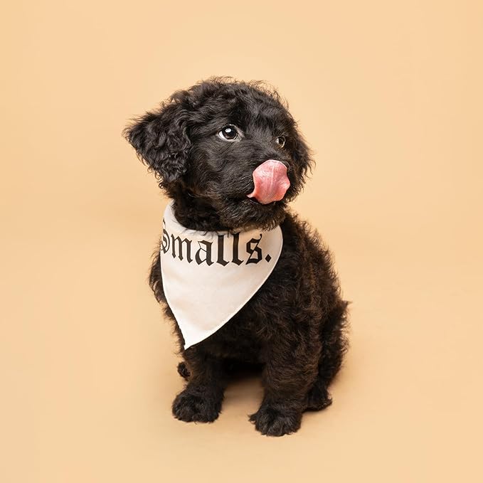 Smalls Matching 90's Hip Hop Dog Bandana (White, OS 407)