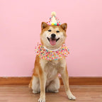Cat Dog Princess Costumes Puppy Cat Birthday Bandana Scarf and Party Hat Cute Lace Dog Bib Scarf and Christmas Hat Doggy Birthday Party Decorations Set
