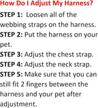 Best Pet Supplies Voyager Step-in Air All Weather Mesh Harness and Reflective Dog 5 ft Leash Combo with Neoprene Handle, for Small, Medium and Large Breed Puppies - Pink Base,S