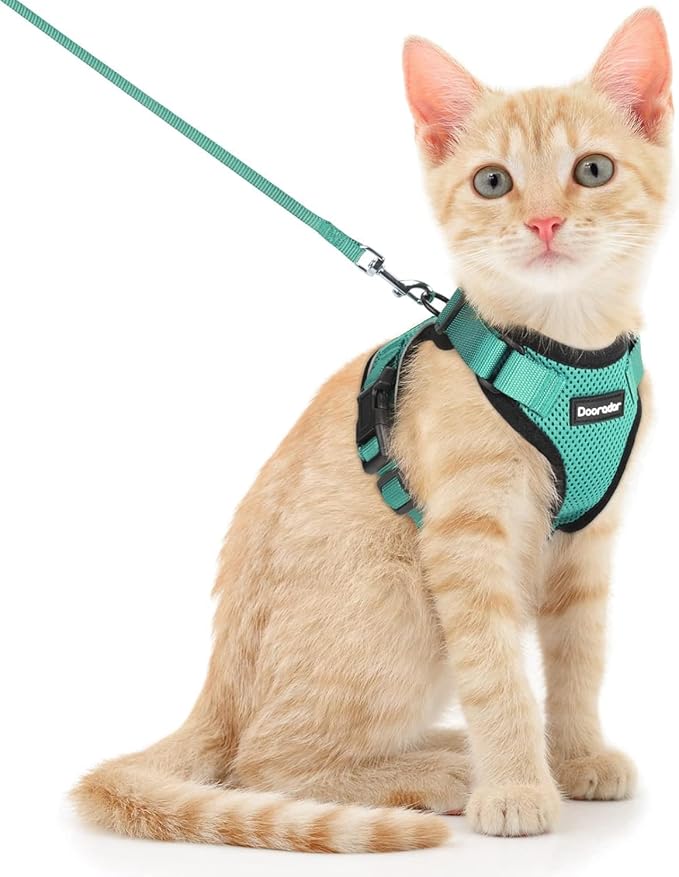 Dooradar Cat Harness and Leash Set, Escape Proof Safe Adjustable Kitten Vest Harnesses for Walking, Easy Control Soft Breathable Mesh Jacket with Reflective Strips for Cats, Green, XS