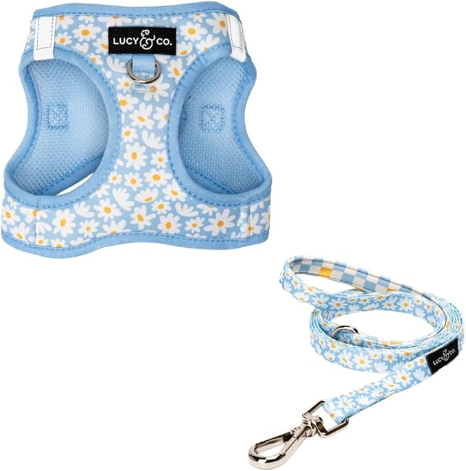 Lucy & Co. Simply Splendid Step-in Cat Harness & Leash Bundle – Reflective, Breathable & Adjustable Harness for Cats, Kittens & Small Dogs, Lightweight & Secure and Dual Leash Clips – Large