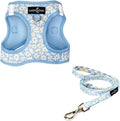 Lucy & Co. Simply Splendid Step-in Cat Harness & Leash Bundle – Reflective, Breathable & Adjustable Harness for Cats, Kittens & Small Dogs, Lightweight & Secure and Dual Leash Clips – Large