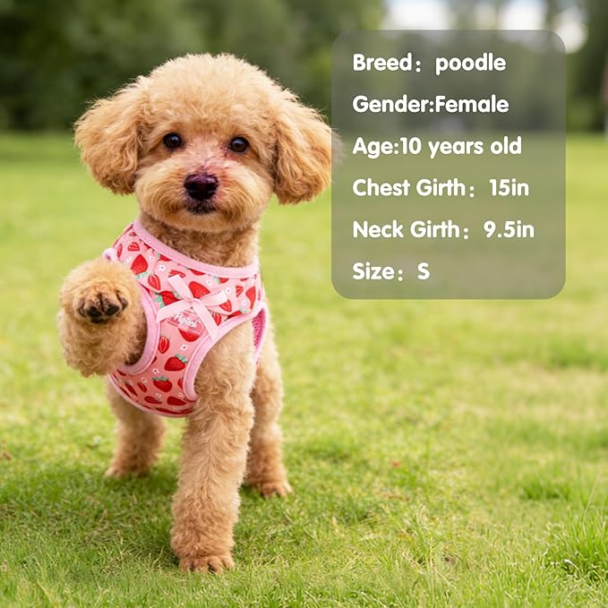PUPTECK Dog Harness for Puppy and Small Sized Dogs, Step-in No Pull Soft Mesh Vest Harness for Cats Small Pets Walking, Pink Strawberry, New S