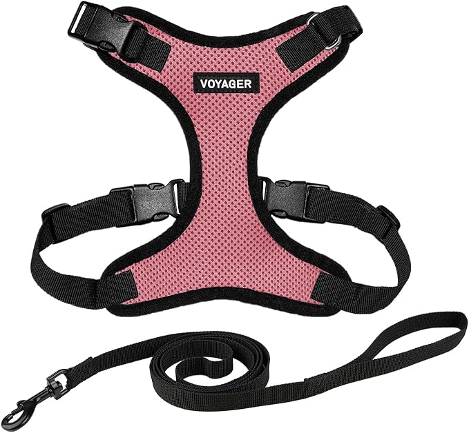 Voyager Escape-Proof Step-in Lock Cat Harness & 5ft Neoprene-Handle Leash Set All-Weather Mesh with Reflective Stitching for Small to Large Cats by Best Pet Supplies, Pink/Black Trim, S
