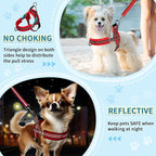SlowTon No Pull Small Dog Harness and Leash Set, Puppy Soft Vest Harness Neck & Chest Adjustable, Reflective Lightweight Harness & Anti-Twist Pet Lead Combo for Small Medium Dogs (R-Front Clip,S)
