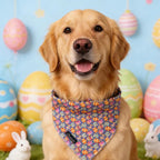 ARING PET Easter Dog Bandanas, Cute Purple Colorful Eggs Pet Bandana Scarf Triangle Bibs for Puppy Small Medium Large Boy Girl Dogs Cats-S