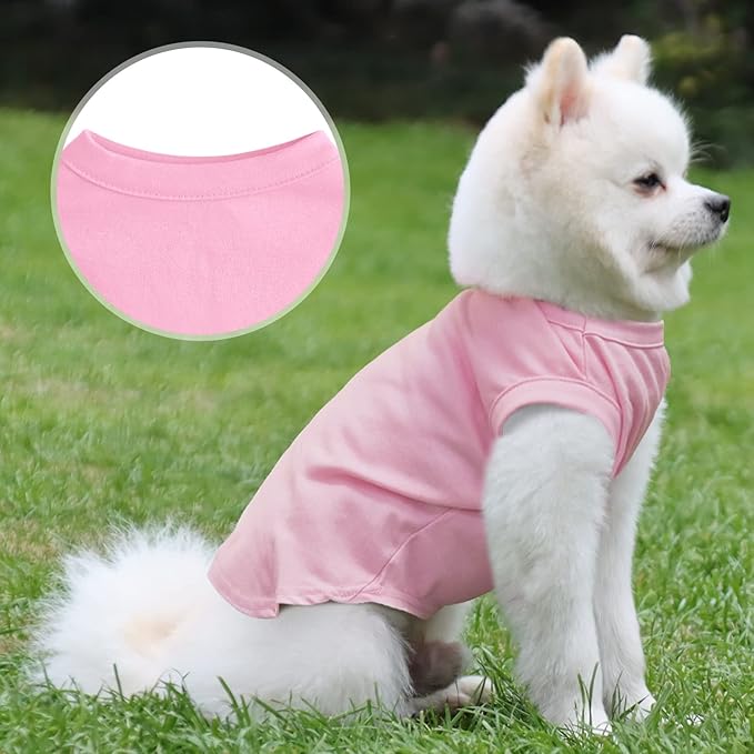 Custom Dog T-Shirts with Name for Pet Dogs, Breathable Personalized Print or Embroidered Name Clothes Summer Clothing Pullover for Pet Puppy Cats Kitten(XS, 8 Colors T-Shirts)