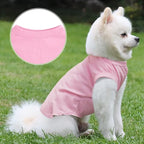 Custom Dog T-Shirts with Name, Breathable Personalized Print or Embroidered Name Numbers, Summer Clothing Pullover for Pet Puppy Cats Kitten (XL, 8 Colors T-Shirts)