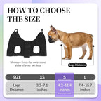PatiencET Dog Grooming Hammock for Small Dogs Pet Hammock for Nail Trimming Dog Sling for Nail Clipping Dog Hanging Harness (Black S)