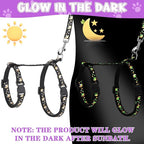 2 Pack Cat Harness and Leash with Collar Set, Escape Proof Cat Harness Adjustable Kitten Harness Glow in The Dark for Small Medium Cats