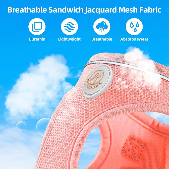Soft Mesh Dog Harness and Leash Set, No Pull Puppy Harness and Leash Set, Reflective Step in Harness for Small Medium Dogs, Easy Walk Escape Proof Vest Harnesses (Pink, XS)