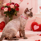 EXPAWLORER Valentine's Day Leather Cat Collar for Girl Boy- Adjustable Pet Collar with Safety Elastic Belt,Personalized Rhinestone Accessories Buckle Collars with Bell & Durable D-Ring,Heart (Pink)