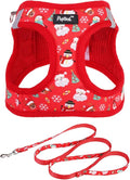 PUPTECK Dog Harness and Leash Set for Small Medium Dogs No Pull Step-in Soft Mesh Puppy Cat Vest Harnesses Reflective at Night, Christmas, M