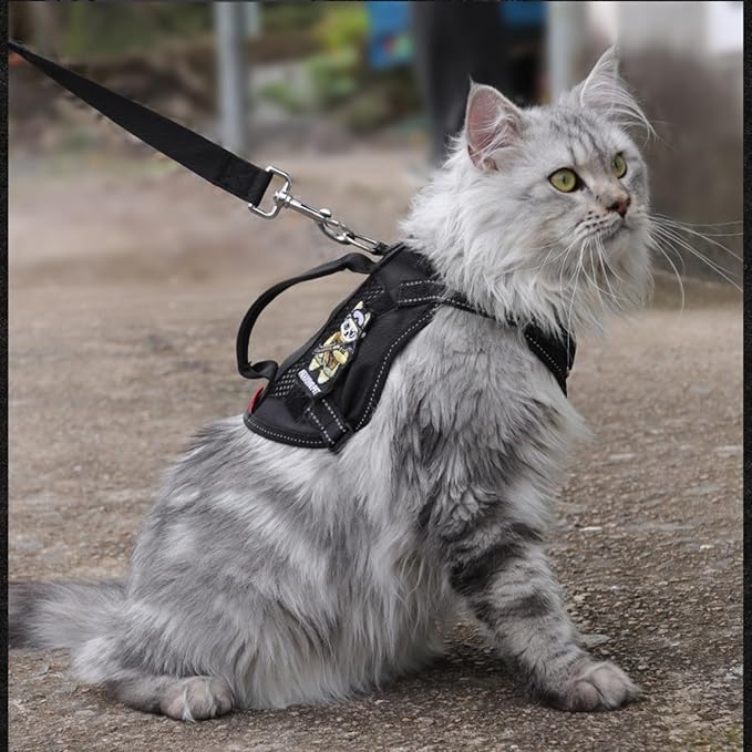 Cat Harness and Leash Set for Walking Escape Proof Adjustable Reflective Large Cat Tactical Harness with Patches Breathable Summer Vest Soft Mesh Padding Handle Easy to Control (Black, S)