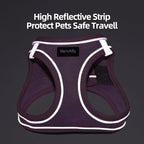 Sparkly Dog Harness Small Sized and Leash Set for Small Dogs Cats,Blue S Puppy Harness, Step in Soft Dog Reflective Vest, Breathable Mesh Pet Harness. (Blue, M)