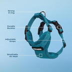 Voyager Step-in Pet Harness - All Weather Mesh, Adjustable Step in Harness for Cats and Dogs by Best Pet Supplies - Turquoise, S