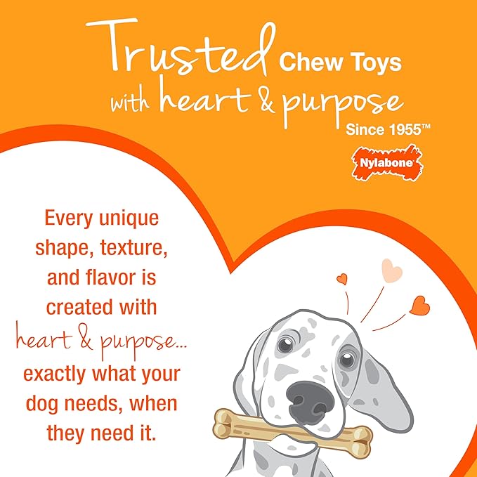 Nylabone Textured Bone Power Chew Toy for Dogs, Durable & Tough Dog Toys for Aggressive Chewers, Beef Jerky Flavor, Small Dogs - Up to 25 Ibs, 1 Count