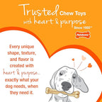 Nylabone Textured Bone Power Chew Toy for Dogs, Durable & Tough Dog Toys for Aggressive Chewers, Beef Jerky Flavor, X-Large Dogs - Over 50 Ibs, 1 Count