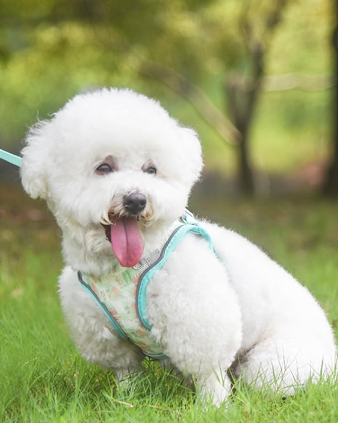 Dog Harness for Small Medium Dogs No Pull, Cat Harness and Leash Set, Step in Puppy Harness. (Green, XS)