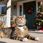 Cat Collar,2 Pack Cat Collars Breakaway with Bell, DOGWONG Safety Buckle Red Christmas Santa Cat Collar for Girl Boy Cats and Small Dogs，Adjustable 7-12 Inch,Pet Supplies Accessories