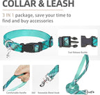 PUPTECK Adjustable Dog Harness Collar and Leash Set Step in No Pull Pet Harness for Small Medium Dogs Puppy and Cats Outdoor Walking Running, Soft Mesh Padded Reflective Vest Harnesses, Lake Green L