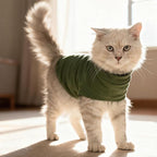 EXPAWLORER Soft Cat Sweater - Sweaters for Cats Only Warm Kitten Clothes, Fall and Winter Pet Coat Pullover Design, Fleece Sweatshirt Clothing Also for Puppy Small Dogs, Army Green M