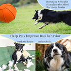 Herding Ball for Dogs, Dual Layered Herding Dog Ball Set for Australian Shepherd, Cattle, Collie, for Dog, Agility Equipment- Free Training Book (Orange, 24 inch)